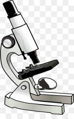 Free download Microscope Clip art - Biology Cliparts png.