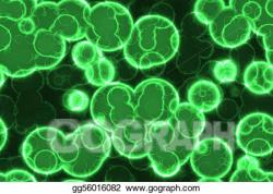 Stock Illustrations - Biology background. Stock Clipart ...