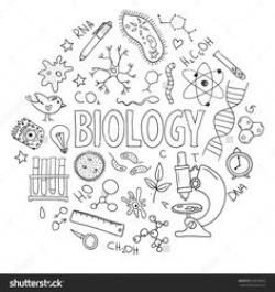 Science cover page | Classroom Organization | Pinterest | School ...
