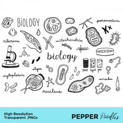 Biology - Doodle Clipart - Transparent PNGs