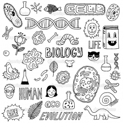 Biology doodles. Hand drawn illustration. — Vector by Sashatigar ...