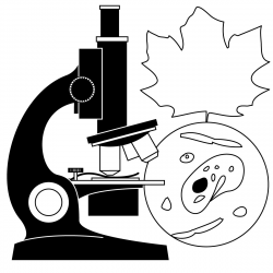 Biology Clipart Black And White - Letters