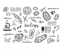 Biology clipart | Etsy