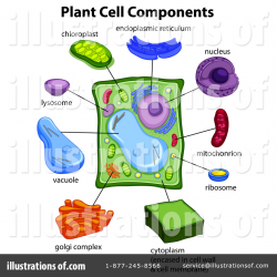Biology Clipart #1464013 - Illustration by Graphics RF