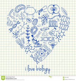 biology clipart - Google Search | stuff | Pinterest | Teacher
