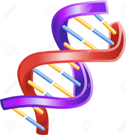 Dna Double Helix Clipart