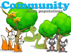 28+ Collection of Community Clipart Biology | High quality, free ...
