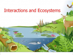 Ecosystem Interactions - Google Slides | Biology lesson ideas ...