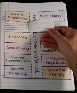 Genetics - Interactive Notebook | Genetics, Teaching biology and ...
