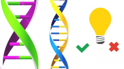 What is Genetic Engineering? - YouTube