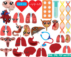 Medic Doctor Nurse Body stickers biology Kawaii Medicals Kid