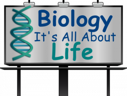 Biology Clip Art at Clker.com - vector clip art online, royalty free ...