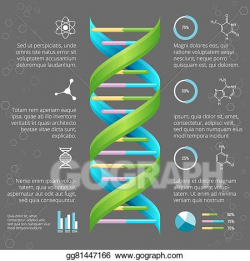 Vector Illustration - Infographic template with dna structure for ...