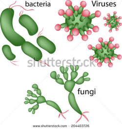 Bacteria clipart bacteria fungus - Pencil and in color bacteria ...