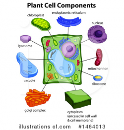 Biology Clipart #1464013 - Illustration by Graphics RF