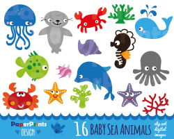 28+ Collection of Marine Biology Clipart | High quality, free ...