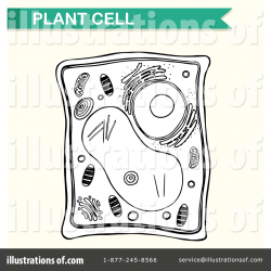 Biology Clipart #1464017 - Illustration by Graphics RF