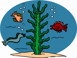 28+ Collection of Marine Biology Clipart | High quality, free ...