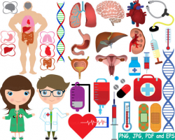 Medic Doctor Nurse Body stickers biology Kawaii Medicals Kid