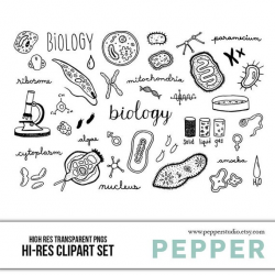 Biology Doodle Clipart Set - Hi Res Printable Science School Icons, Cell,  Chromosome, Vector Art, Hand Drawn Illustrations, Transparent PNG