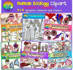 Biology Clipart (Human) | Circulatory system and Respiratory system