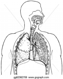 Vector Stock - Respiratory system. Clipart Illustration gg62382708 ...