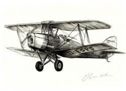 Tiger Moth by Oliver Cook - Drawing All Drawing ( flight, flying ...
