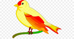 Bird flight Animation Clip art - Free Bird Clipart png download ...