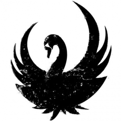 Gallery For > Black Swan Bird Art | SwanSong | Pinterest | Swans ...