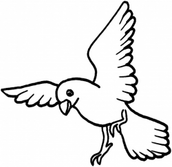Bird Coloring Pages For Kids# 1970797