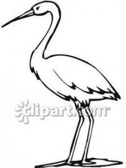 28+ Collection of Crane Bird Drawing | High quality, free cliparts ...