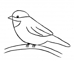 Birds Pictures Drawing at GetDrawings.com | Free for personal use ...