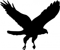 Falcon bird clipart - Clip Art Library