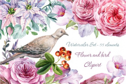 Flower and bird Clipart. Watercolor ~ Illustrations ~ Creative Market