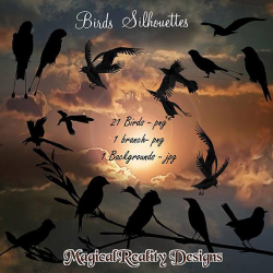 Birds Silhouettes - Digital Scrapbook - Birds - Sunset - Magical ...