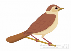 Top 96 Nightingale Clip Art - Free Clipart Image