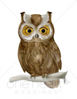 Brown Owl Clipart | Love Bird Clipart