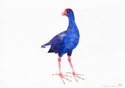 Pukeko, New Zealand Bird, Geometric print, Original illustration ...
