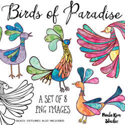 Birds of Paradise Clip Art, Rainbow Watercolor Clipart, Rainbow Bird ...