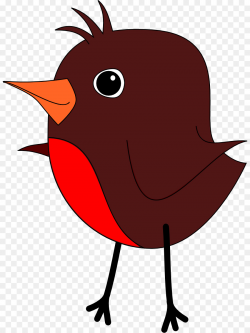 Bird American robin Clip art - Robin Cliparts png download - 880 ...