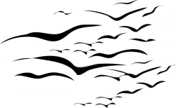 Flock Of Birds clip art Free vector in Open office drawing svg ...