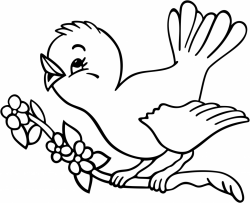 Bird Line Drawing at GetDrawings.com | Free for personal use Bird ...