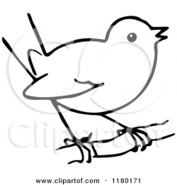 Bird Sketch Clipart