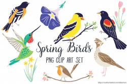 Spring Bird Clip Art Spring Clipart ~ Illustrations ~ Creative Market