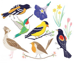 Spring Birds, Bird Clip Art, Spring ClipArt, Spring Bird Clip Art