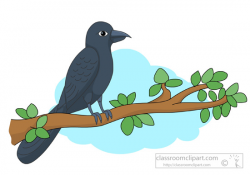 Animal Clipart - Bird Clipart - cuckoo-bird-on-tree-branch ...