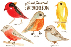 Watercolor Birds Clipart Handpainted ~ Illustrations ~ Creative Market