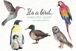 Watercolor Clip Art - Birds ~ Illustrations ~ Creative Market