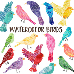 Watercolor Bird Clipart Commercial Use Instant Download