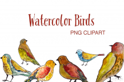 Watercolor Birds clipart ~ Illustrations ~ Creative Market